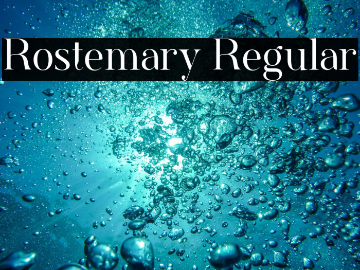 Rostemary Regular Example 2