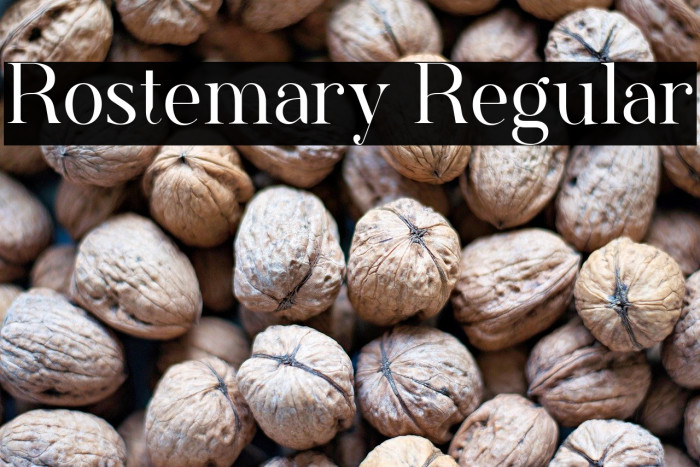 Rostemary Regular Example 3