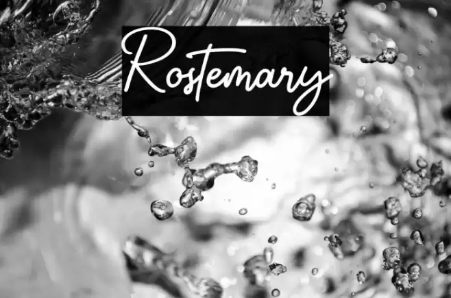 Rostemary Font examples