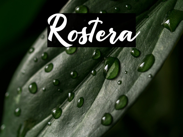 Rostera Example 1