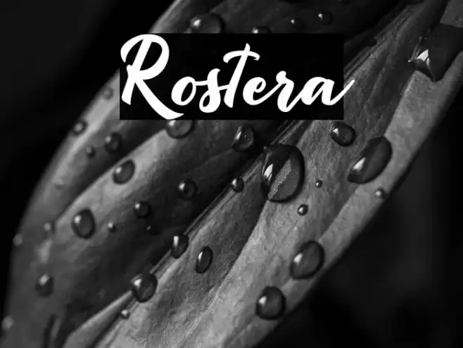 Rostera Font examples