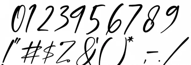 Rosterdam Signature Font OTHER CHARS