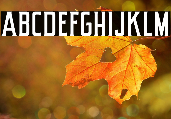 RosterineDEMO Example 2