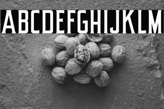 RosterineDEMO Font examples