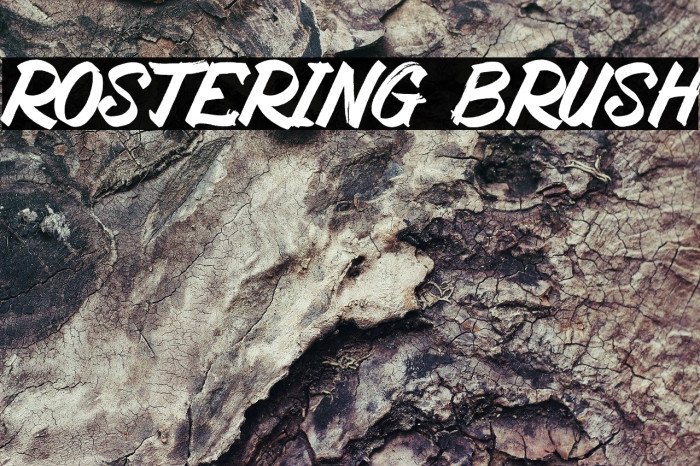 Rostering Brush Example 1