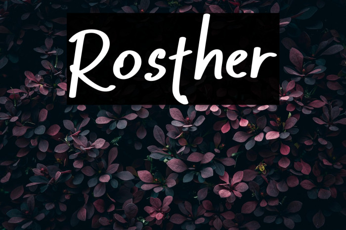 Rosther Example 3