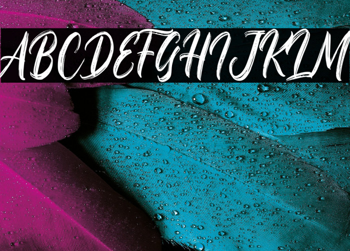 Rostheroid Example 1