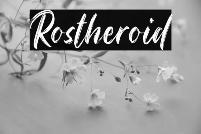 Rostheroid Font examples
