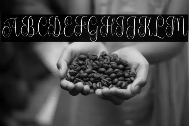 Rostina-Regular Font examples