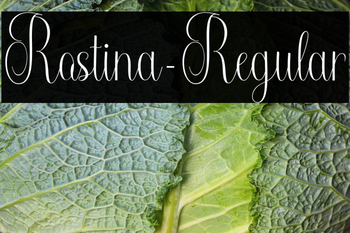 Rostina-Regular Example 1