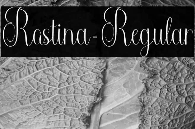 Rostina-Regular Font examples