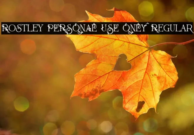 Rostley PERSONAL USE ONLY Regular Example 1