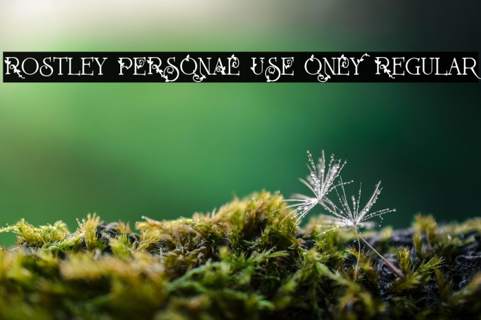 Rostley PERSONAL USE ONLY Regular Example 3