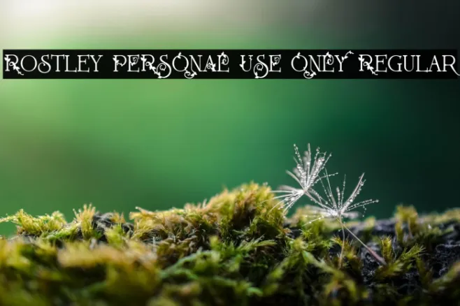 Rostley PERSONAL USE ONLY Regular Example 3
