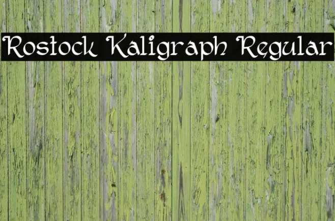Rostock Kaligraph Regular Example 1