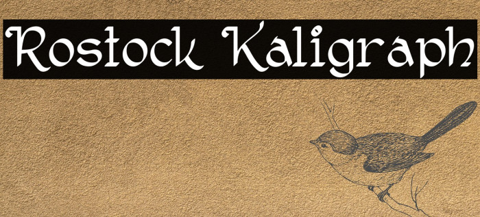 Rostock Kaligraph Font examples