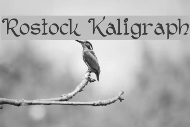 Rostock Kaligraph Font examples