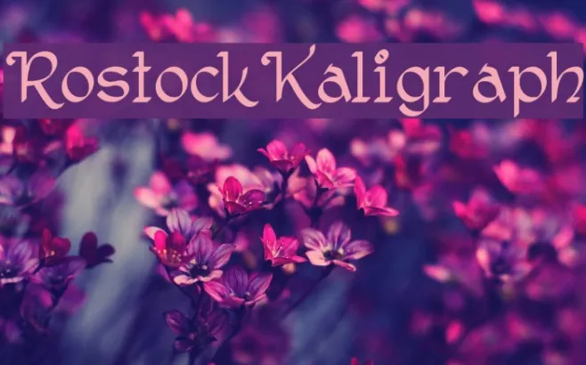 RostockKaligraph Example 1