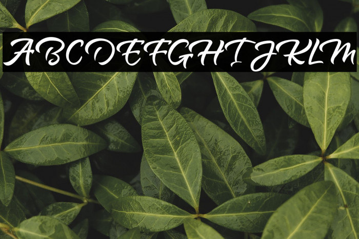 RosttelClean Example 1