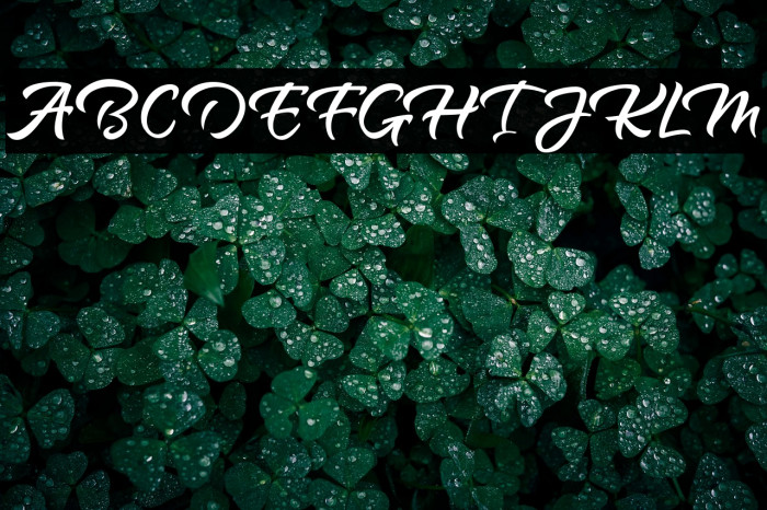 RosttelClean Example 2