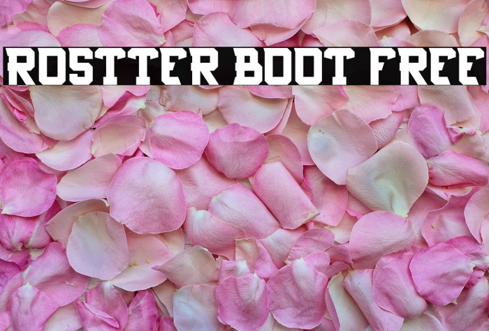 Rostter boot FREE Example 1