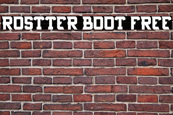 Rostter boot FREE Example 3