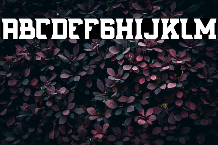 RostterbootFREE Example 1