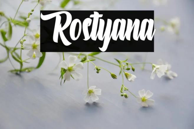 Rostyana Example 2