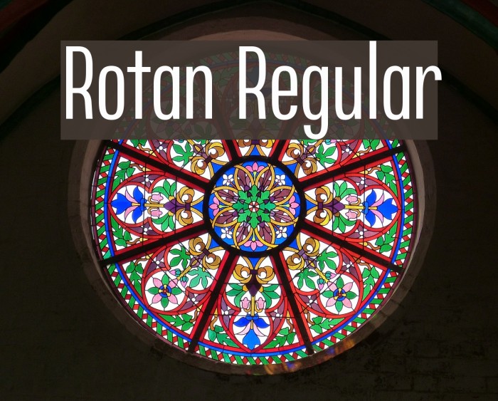 Rotan Regular Example 1