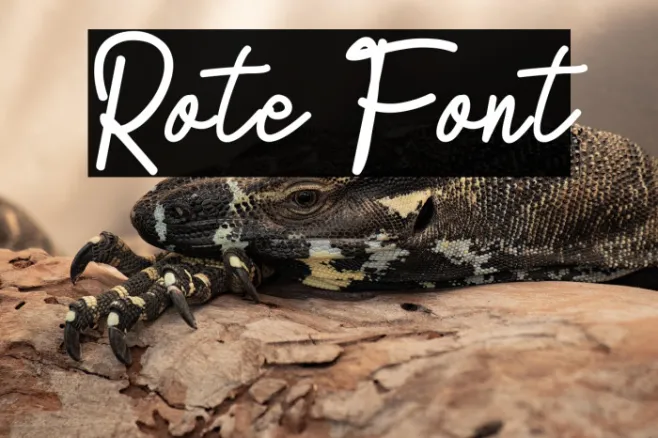 Rote Example 3