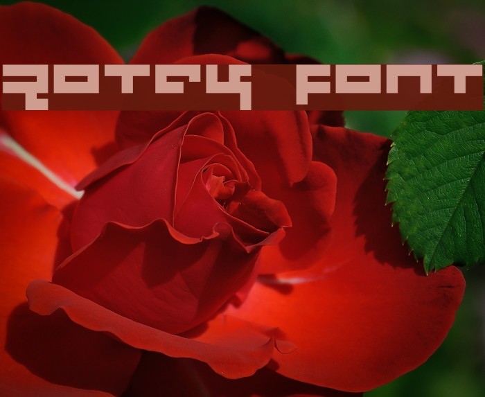 Rotek Fonte examples
