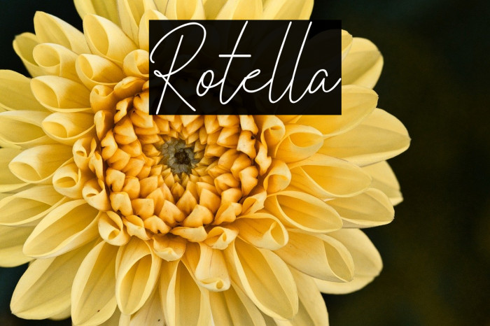 Rotella Example 1