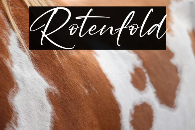 Rotenfold Example 1