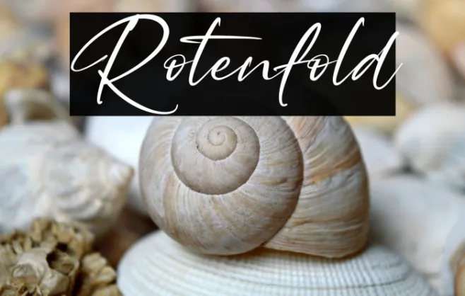 Rotenfold Example 2