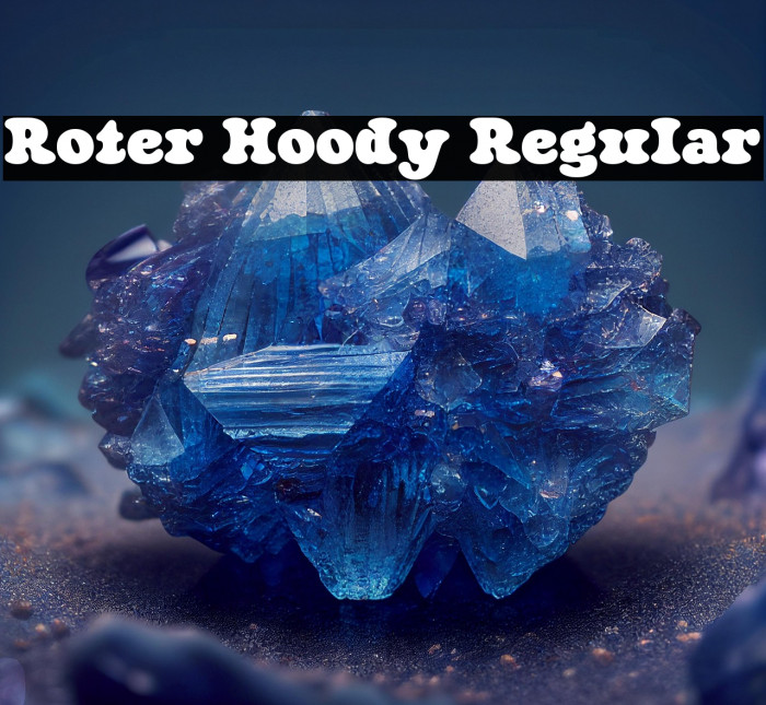 Roter Hoody Regular Example 1