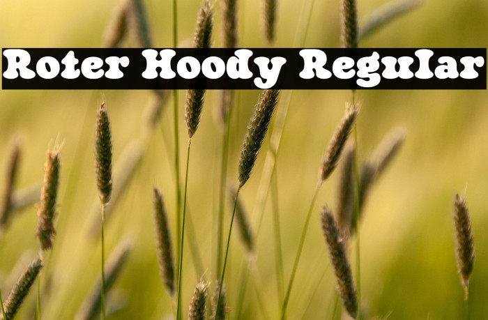 Roter Hoody Regular Example 2