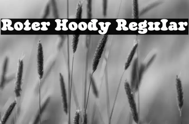 Roter Hoody Regular Fonte examples