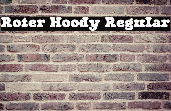 Roter Hoody Regular Example 3