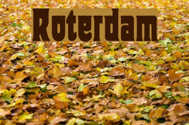 Roterdam Example 2