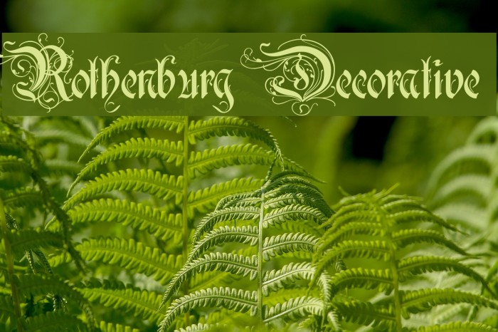 Rothenburg Decorative Font examples