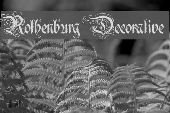 Rothenburg Decorative خط examples