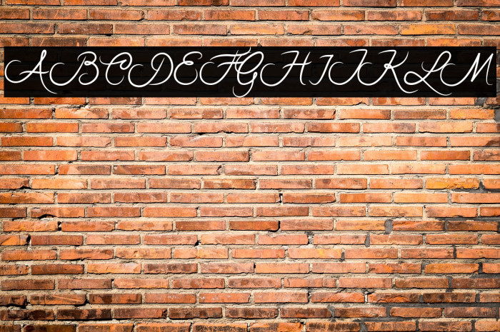 Rothenburg Script Font examples