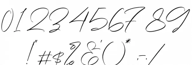 Rotherdam Signature Font OTHER CHARS