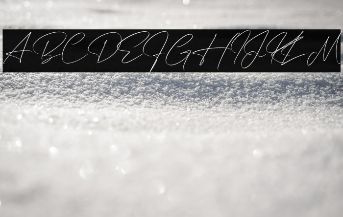 Rotherdam Signature Example 2