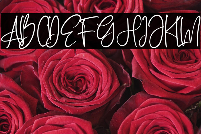 Rotherdam Signature Example 3