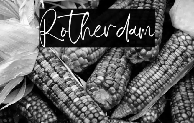 Rotherdam फ़ॉन्ट examples