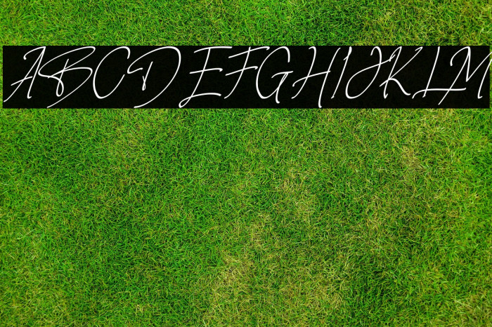 Rotherland Example 3