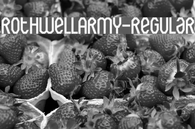 RothwellArmy-Regular Font examples