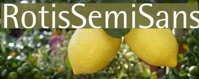 RotisSemiSans Example 1