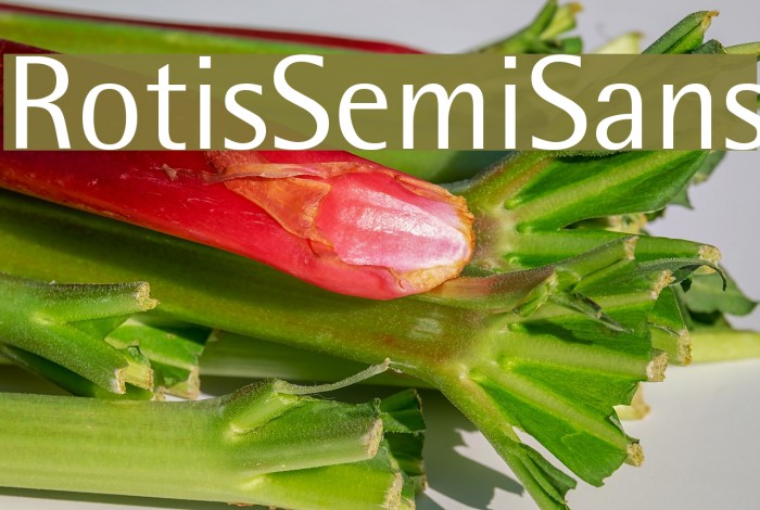 RotisSemiSans Example 2